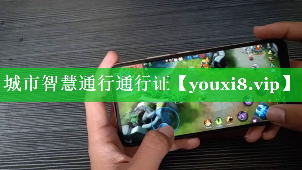 城市智慧通行通行证