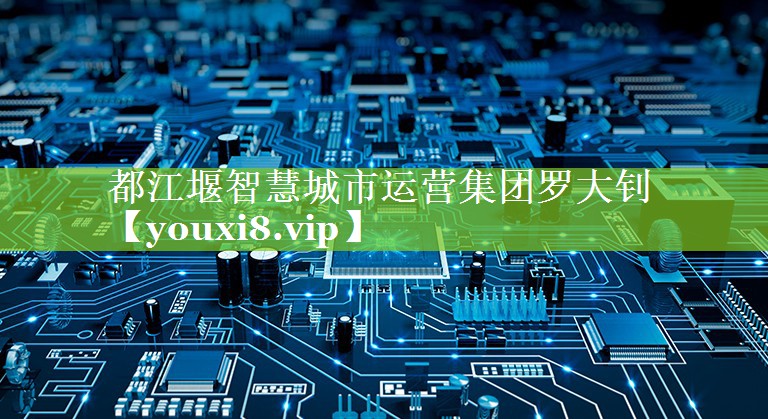 都江堰智慧城市运营集团罗大钊
