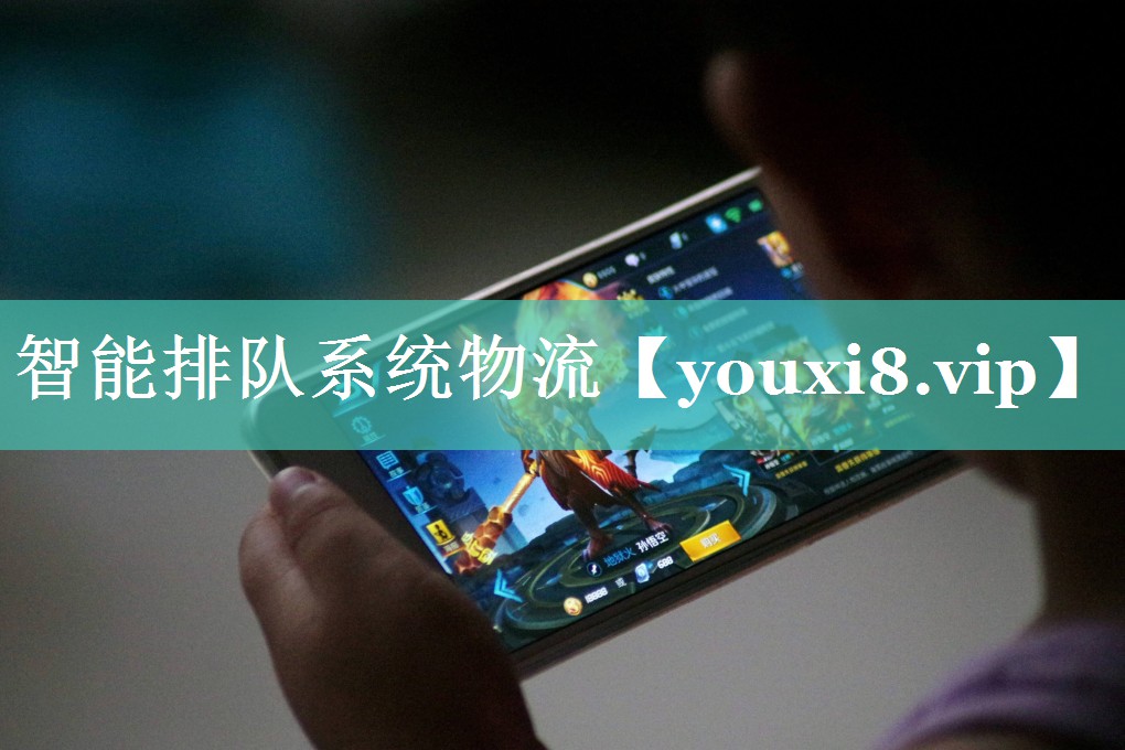 智能排队系统物流