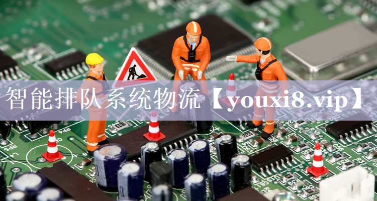 智能排队系统物流