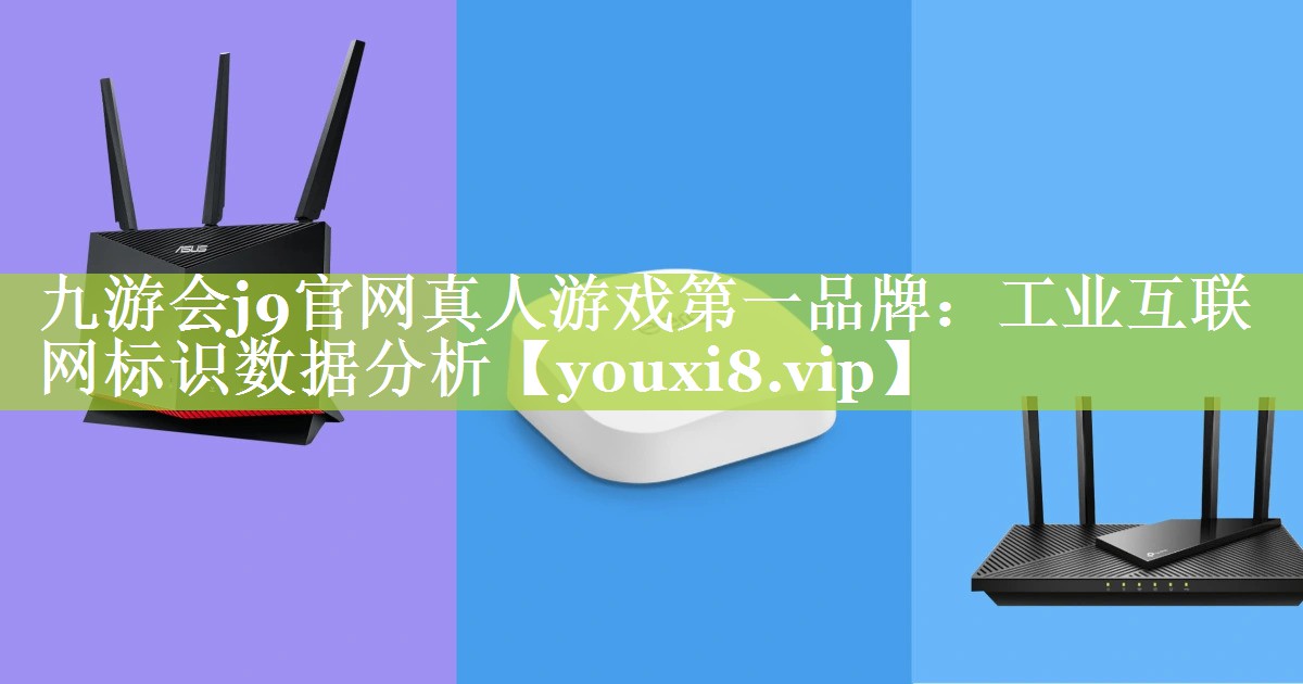 工业互联网标识数据分析 工业互联网标识数据分析