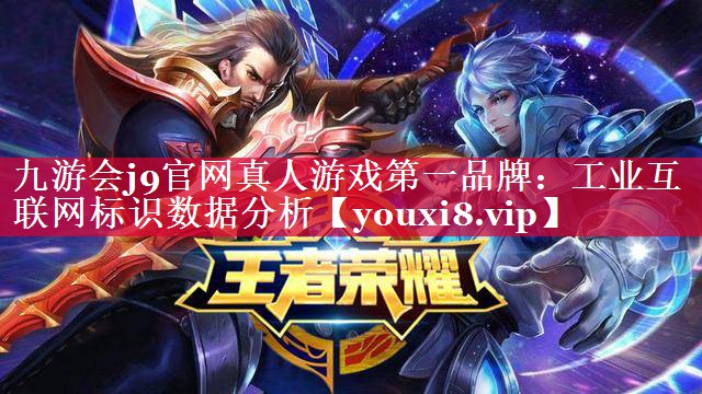 工业互联网标识数据分析 工业互联网标识数据分析